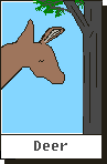 Click here to see ASCII Artwork - Deer