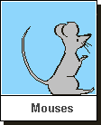 Click here to see ASCII Artwork - Mouses