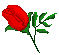 redrosert