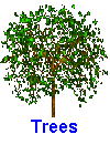 Click here for a very nice website about trees. There are actual photos of the trees, leaves, fruit, and bark of the 100 species of trees and shrubs grown on the campus of the Iowa State University.